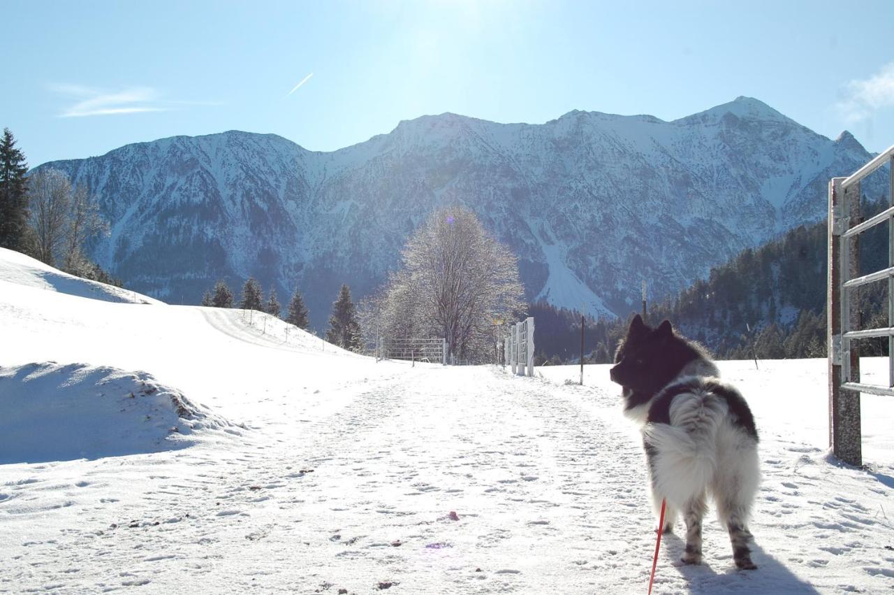 Ferienhaus Alpenglueck Gaicht Dış mekan fotoğraf